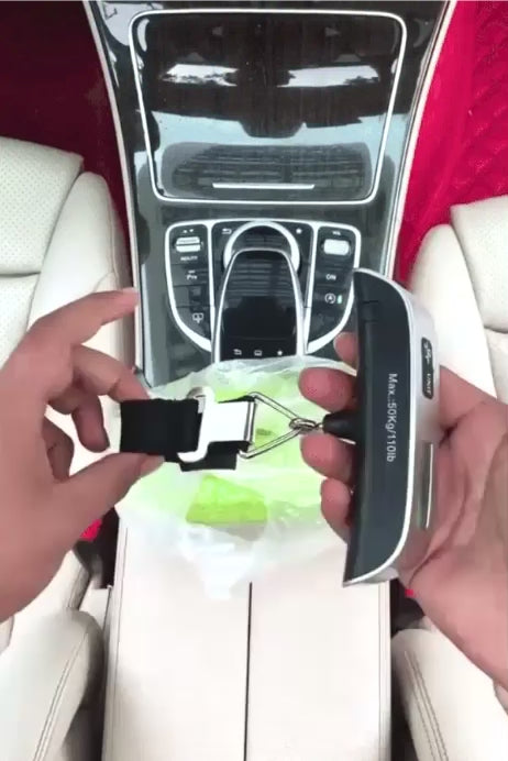 Electronic Luggage Scale